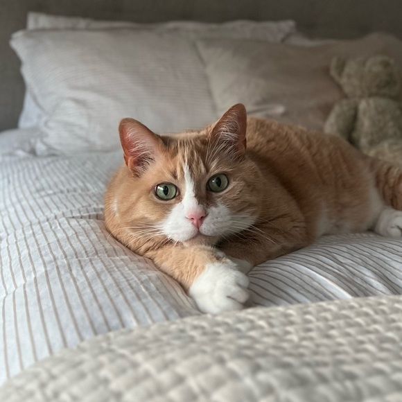 Meet your Posher, Kelly - Picture 1 of 1